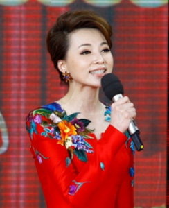 Chinese New Year Gala Host 董卿 DǒngQīng 