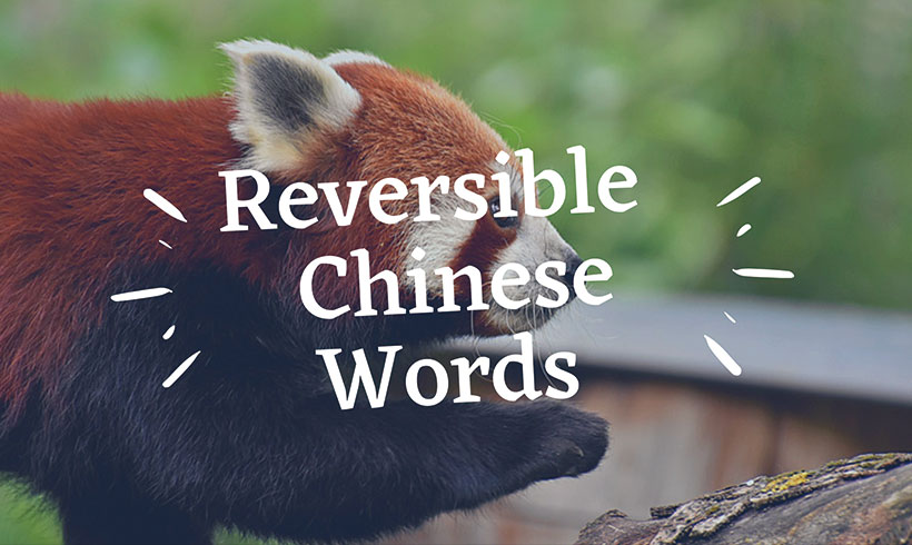Reversible Chinese Words