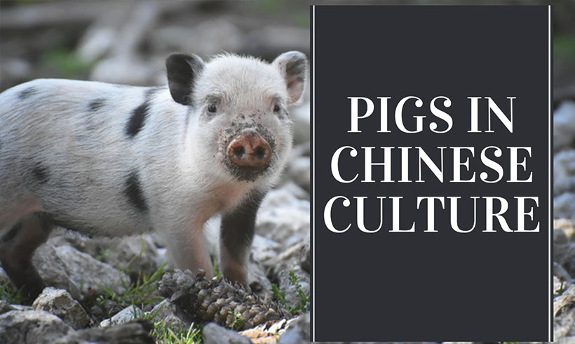 Year of the Pig: Pigs in Chinese Culture