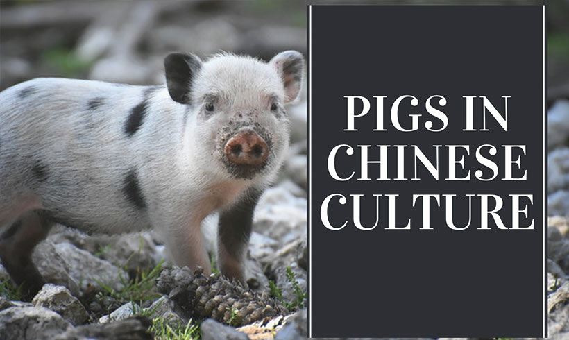 Pigs in Chinese Culture