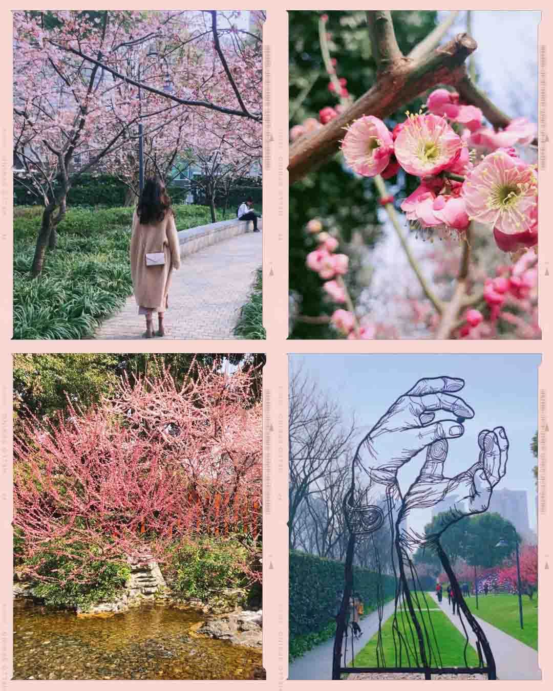 Where to Enjoy Cherry Blossom in Shanghai | Jing'an Sculpture Park