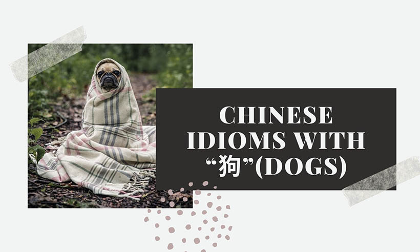 Chinese Idioms with Dogs, Part II