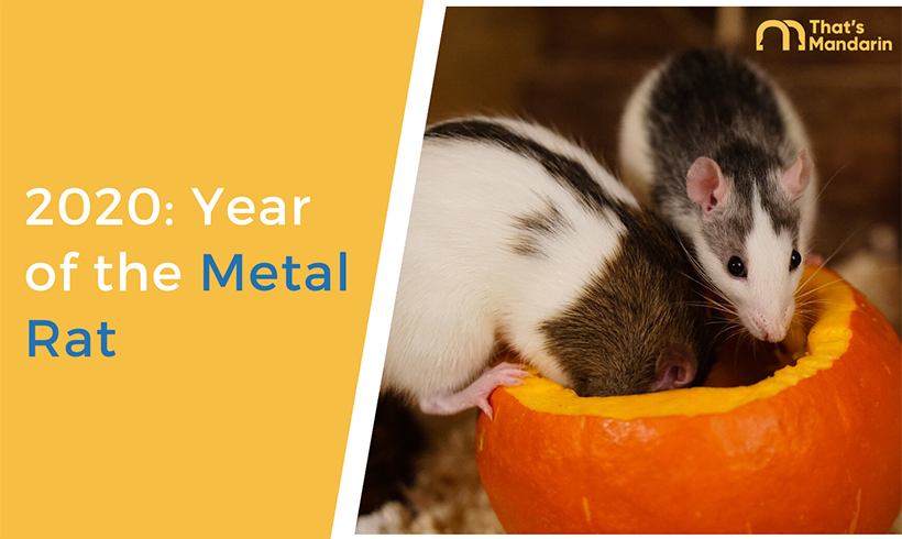 year of the metal rat