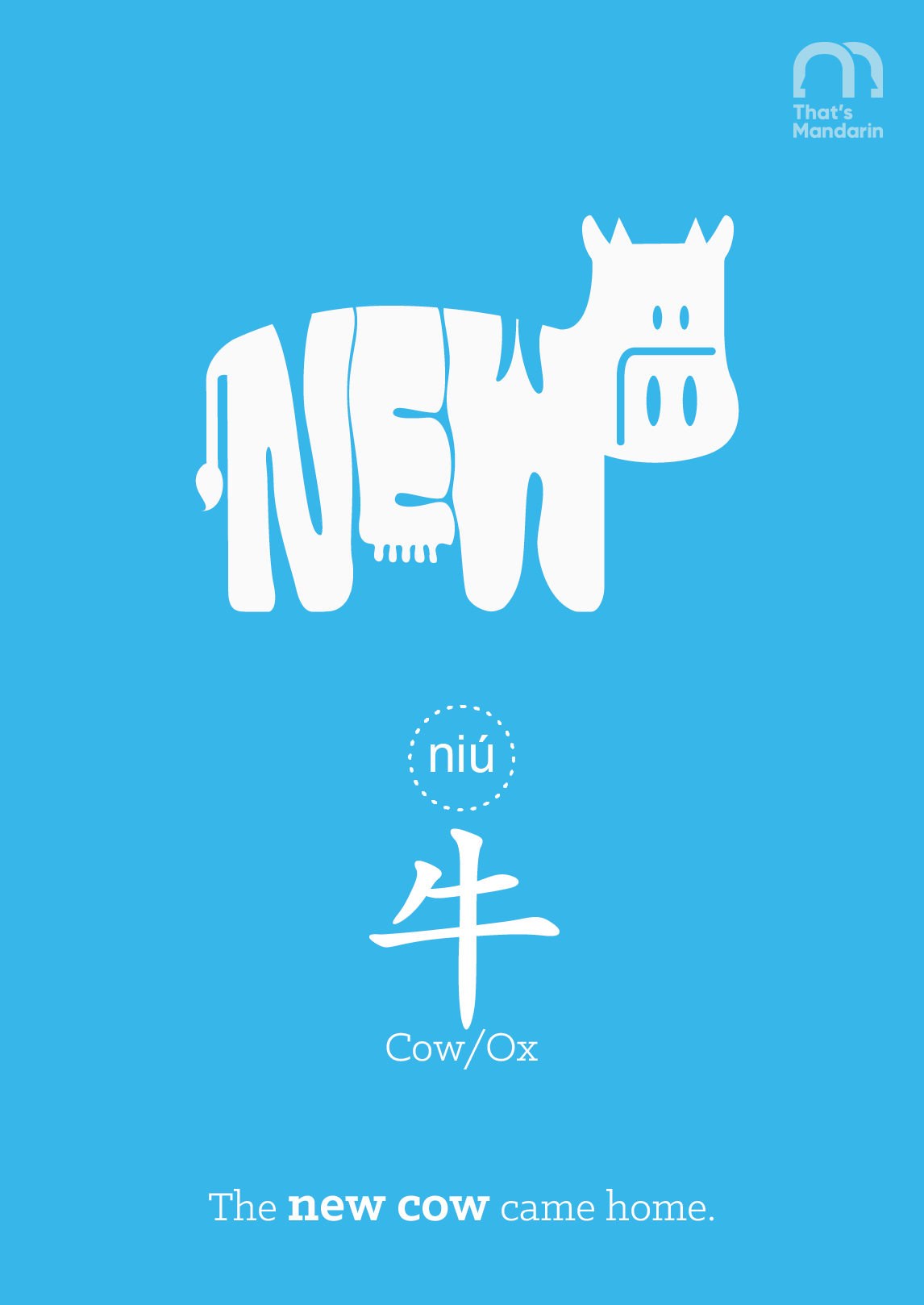 Cow / Ox (Chinese Animal Zodiacs) | Chinese Link Words | That's Mandarin