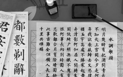 Learn Mandarin Chinese With Spaced Repetition