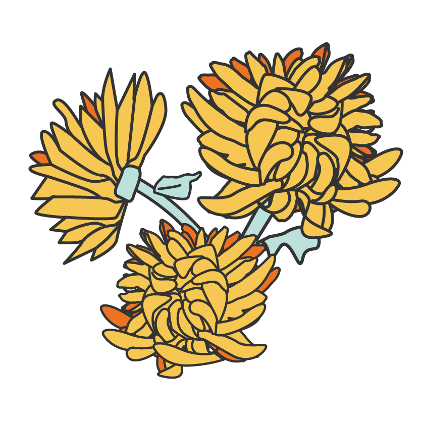 Chrysanthemum Double Ninth | That's Mandarin Chinese School