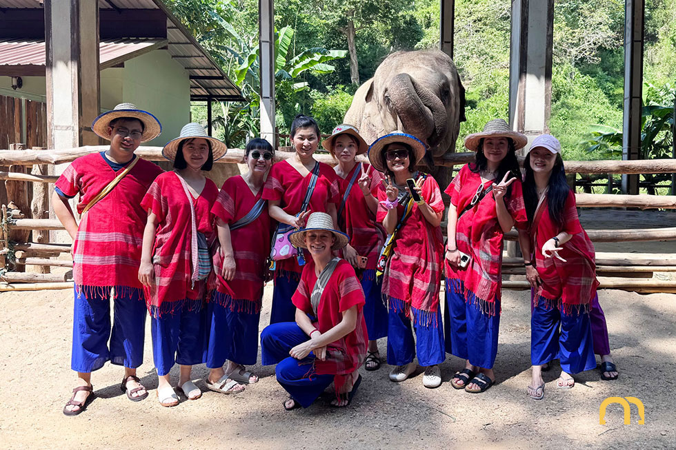 Reconnecting in Chiang Mai: That’s Mandarin Team Building Adventure