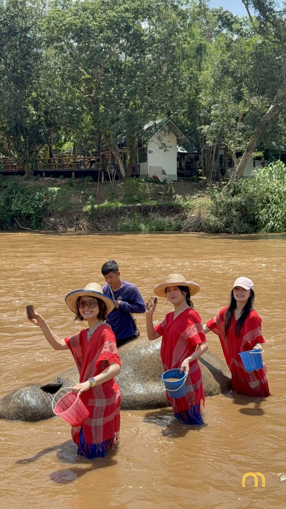 That's Mandarin Taeam Reconnects in Chiang Mai