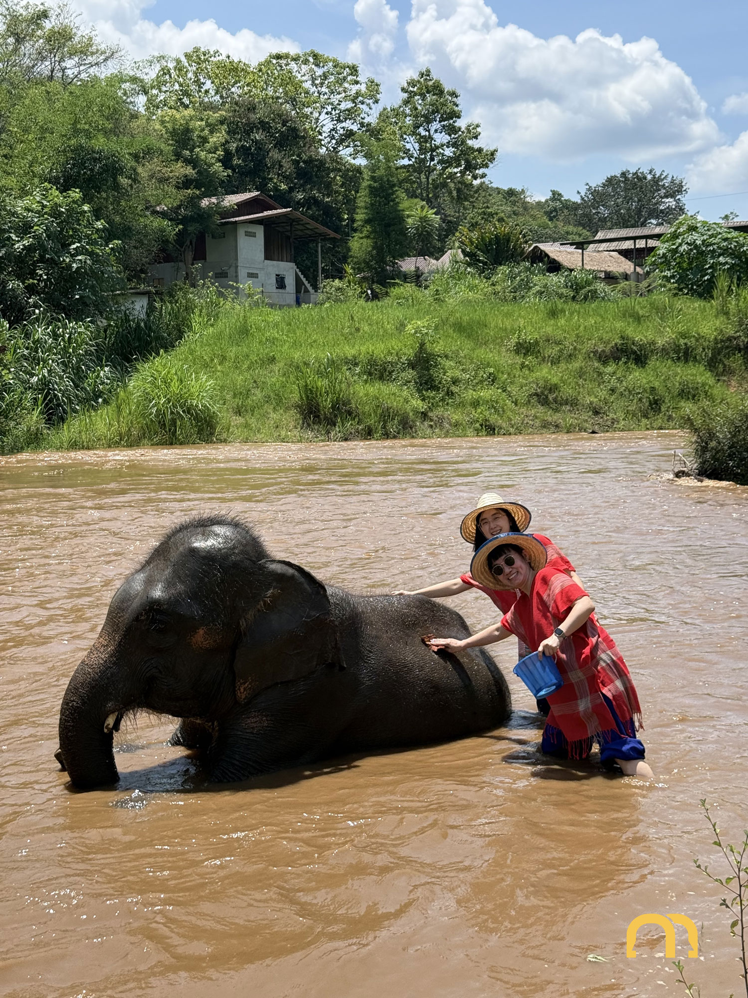 That's Mandarin Taeam Reconnects in Chiang Mai