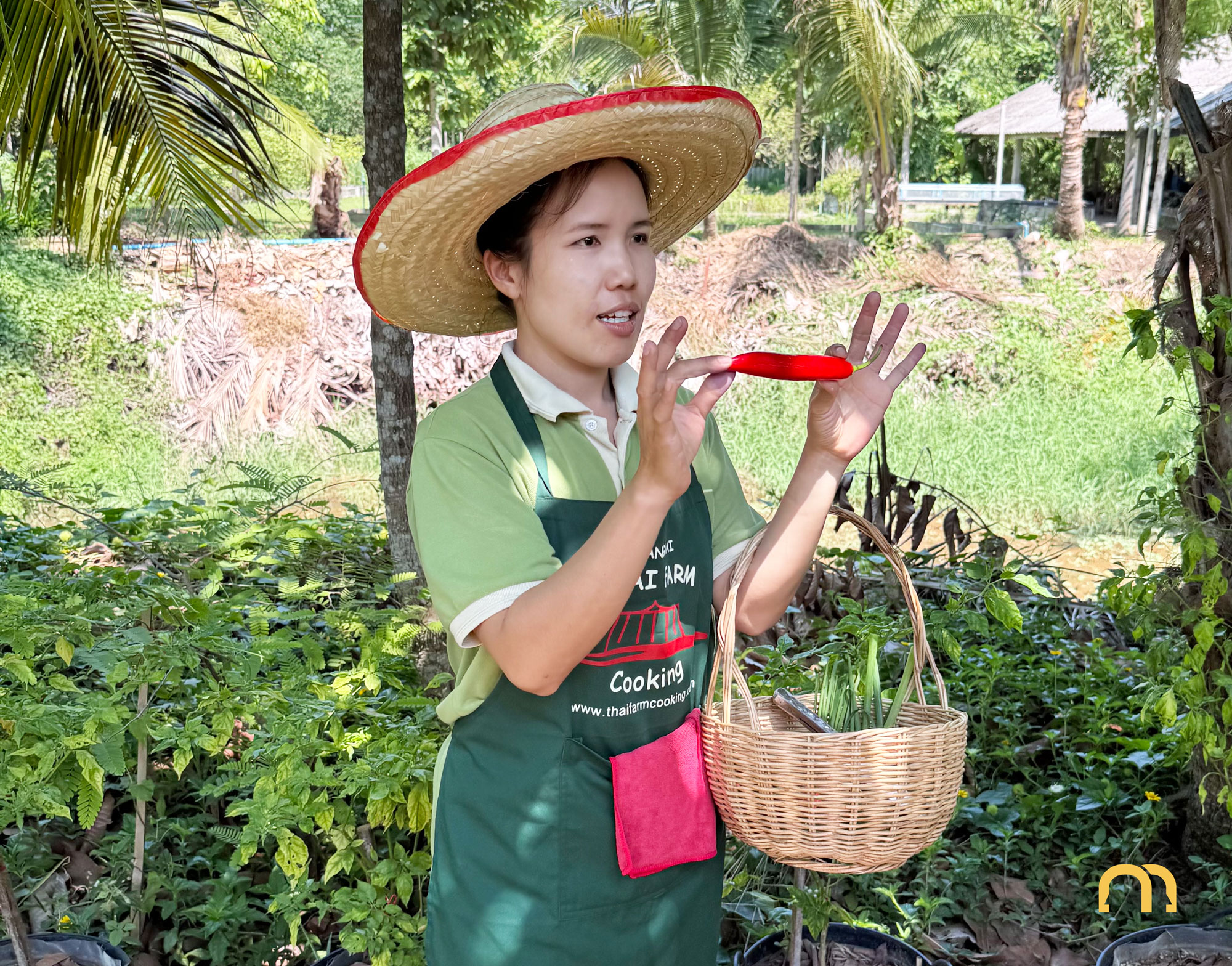That's Mandarin Team at a cooking class in Thailand 🌱