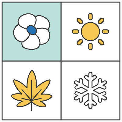 Spring | 春天