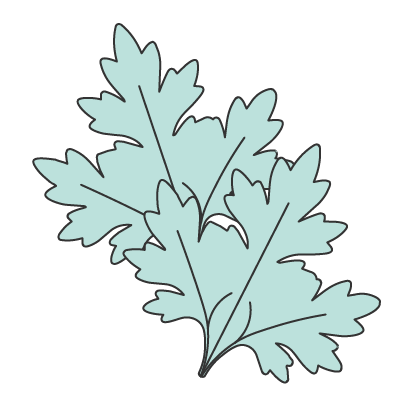 Asian mugwort · 艾草 (àicáo)