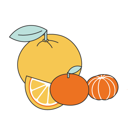 Oranges and Tangerines | Chinese New Year Food