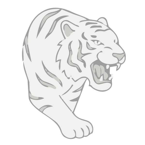 白虎 (Báihǔ) – The White Tiger